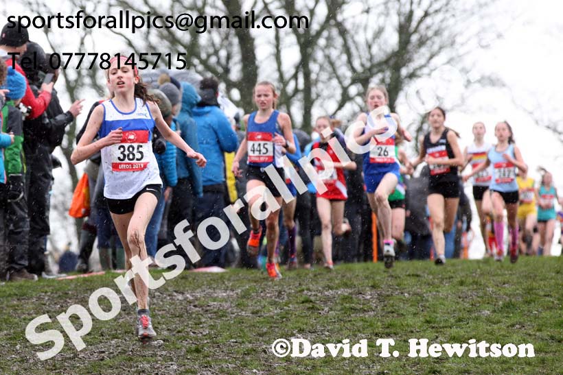 Junior girls 2019 New Balance English Schools Cross Country Champs, Temple Newsam, Leeds. Photo:  David T. Hewitson/Sports for All Pics